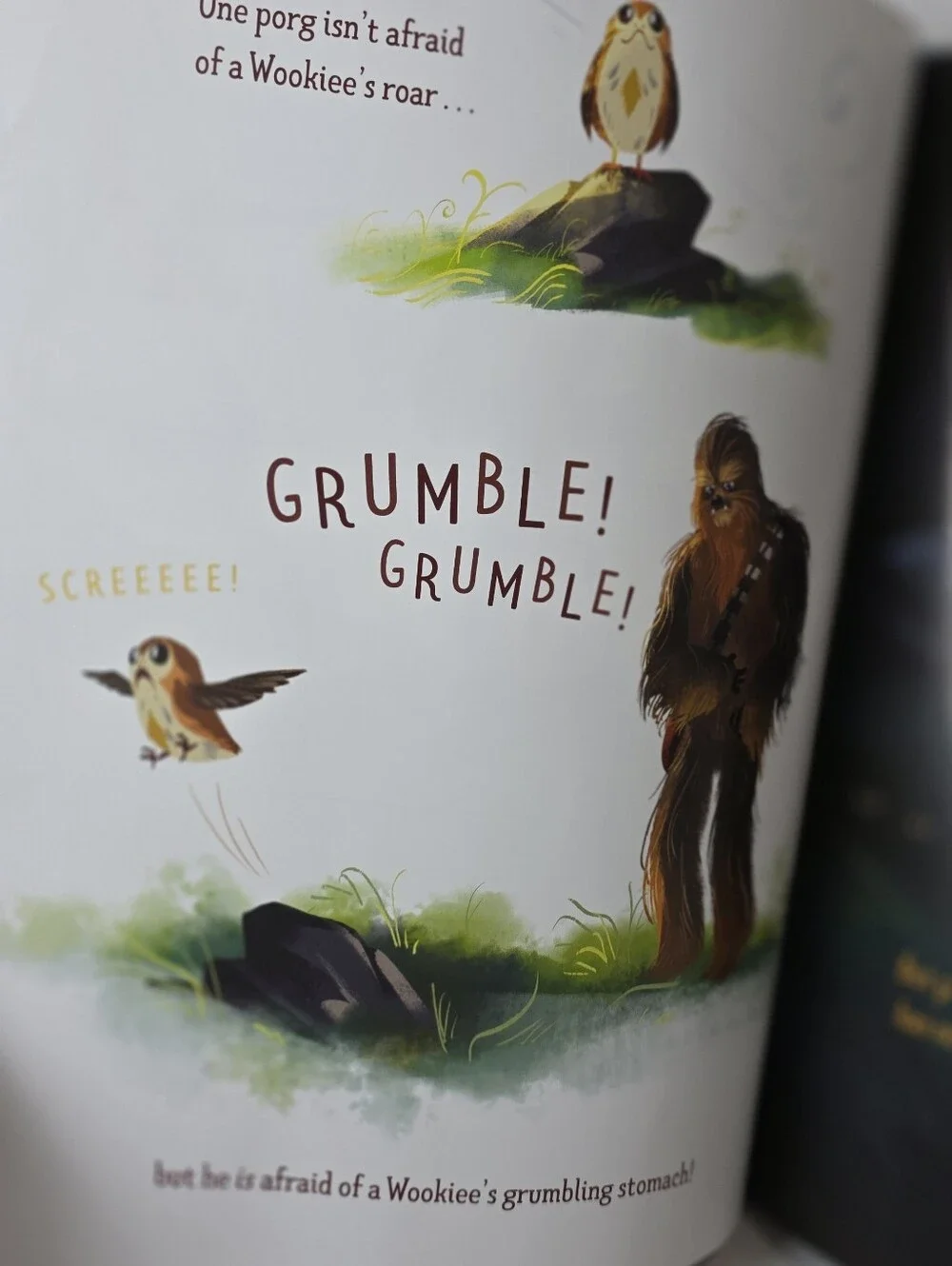 ⭐️ Star Wars Chewy And The Porgs
